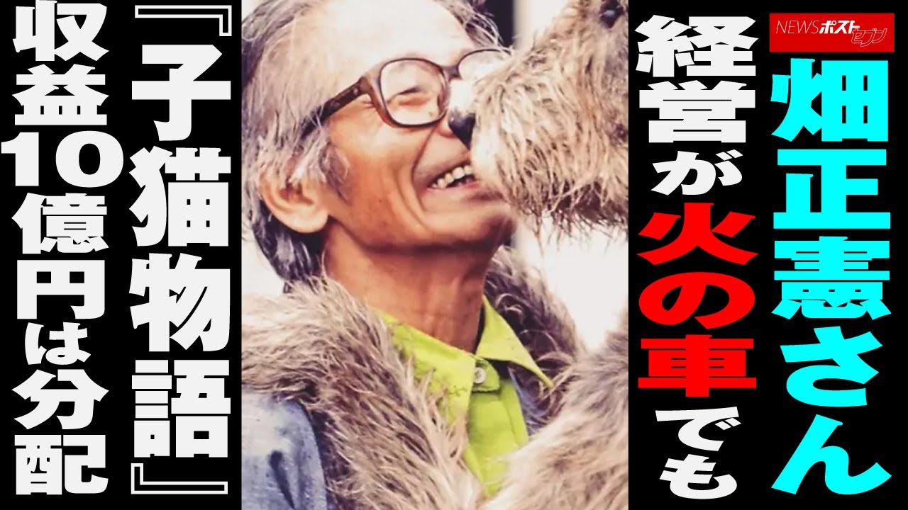 畑正憲さん　経営 が 火の車 でも『 子猫物語 』 収益10億円 は 分配 NEWSポストセブン