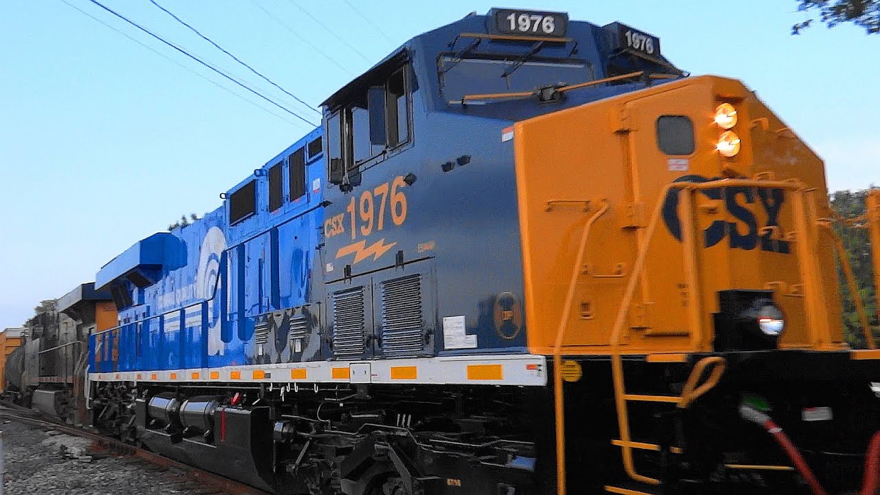 🦌 CSX 