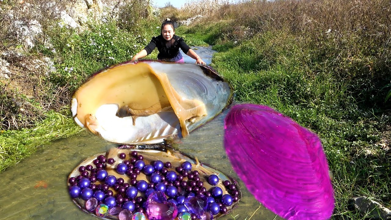💋Gently awaken the purple clam hiding under the water grass, and I harvest a huge treasure of pearls