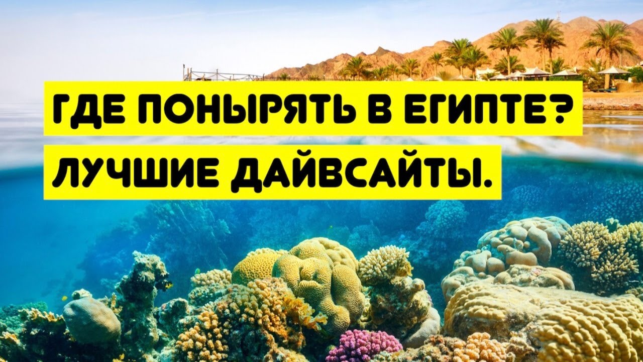 Где понырять в Египте. Лучшие дайвсайты. Сравниваем Хургаду и Шарм Эль Шейх.
