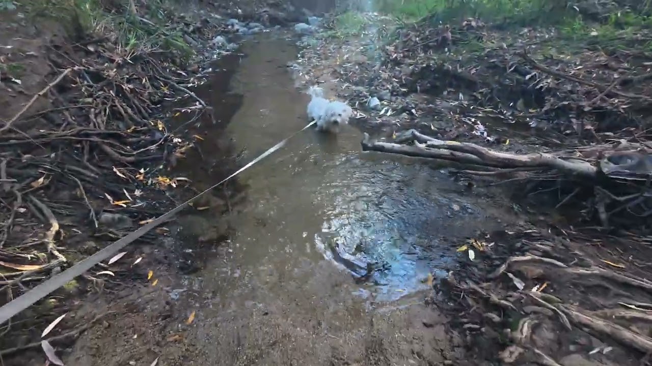 Marshall Canyon Trail hike, dji action 5