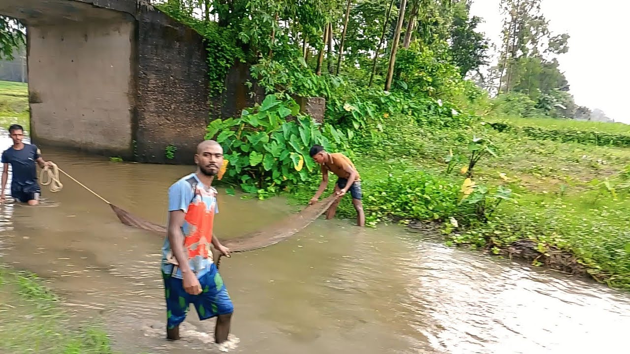 Traditional Rainy Season Moor Net Fishing | ট্রেডিশনাল বর্ষাকালে মোরজাল কার্ড ফিশিং