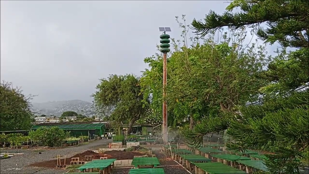 Modulator 3012 DOE Kaimuki Nursery tsunami warning 7-29-2025 6:10 PM
