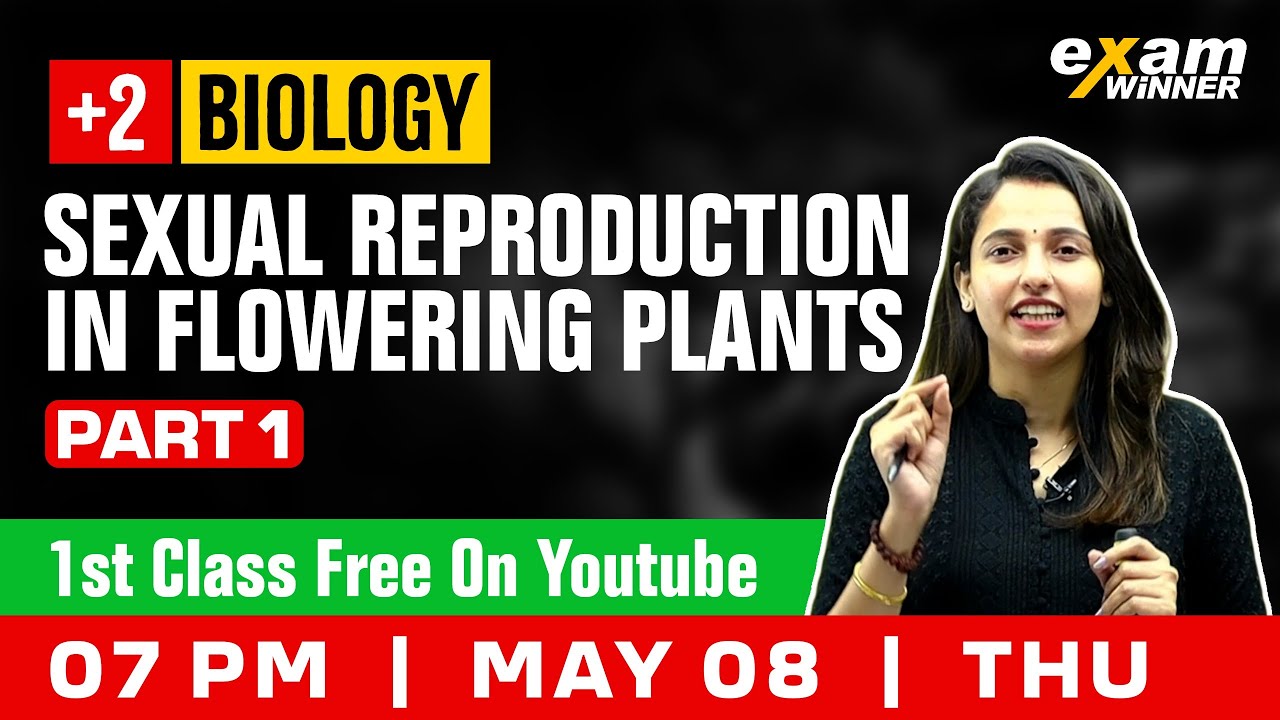 Plus Two Biology | Sexual Reproduction in Flowering plants | Part 1 | Exam Winner