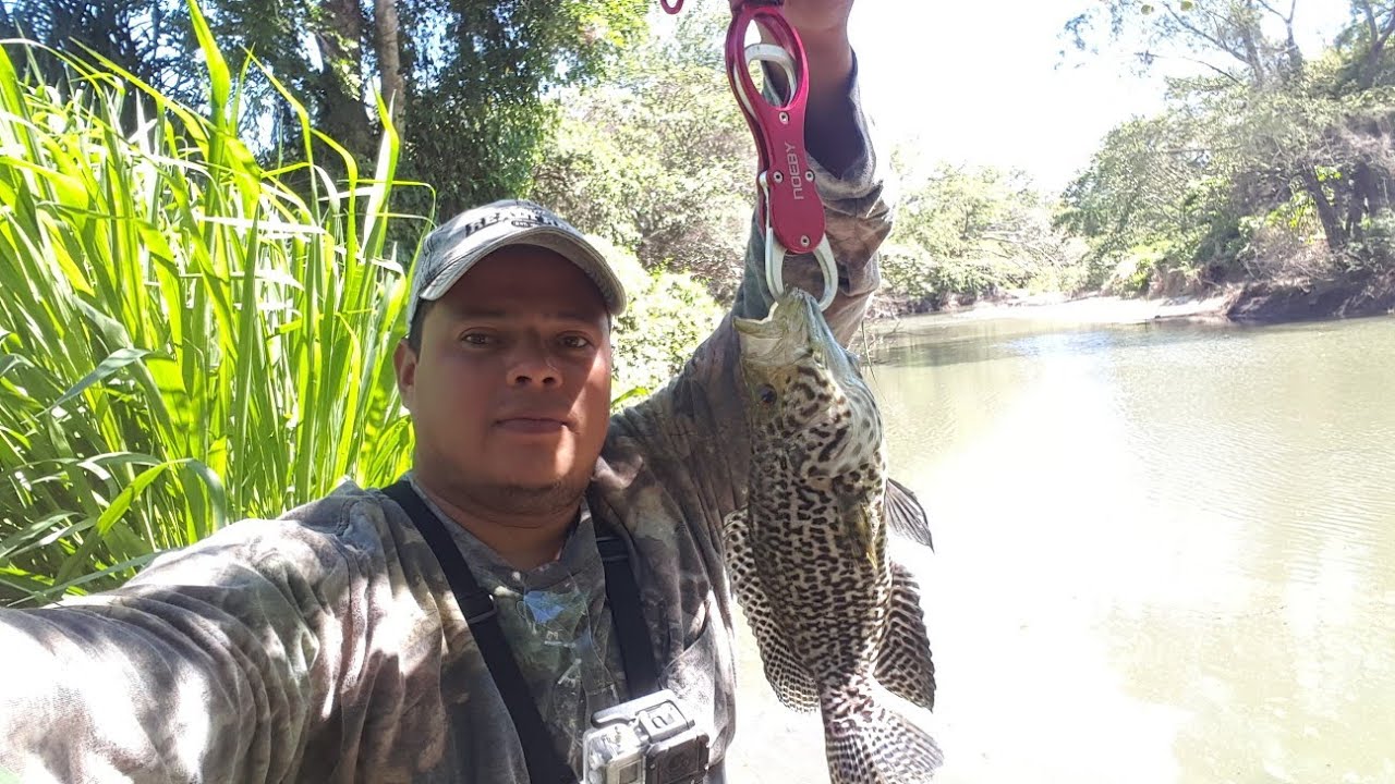 pesca honduras ///// hermoso guapote jaguar