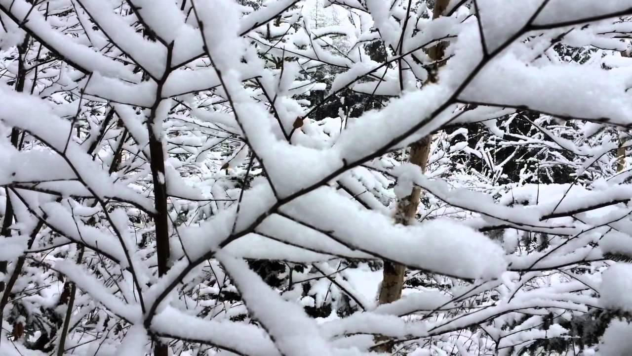 Der perfekte Schneekristall - wie man Frau Holle unter die Arme greift