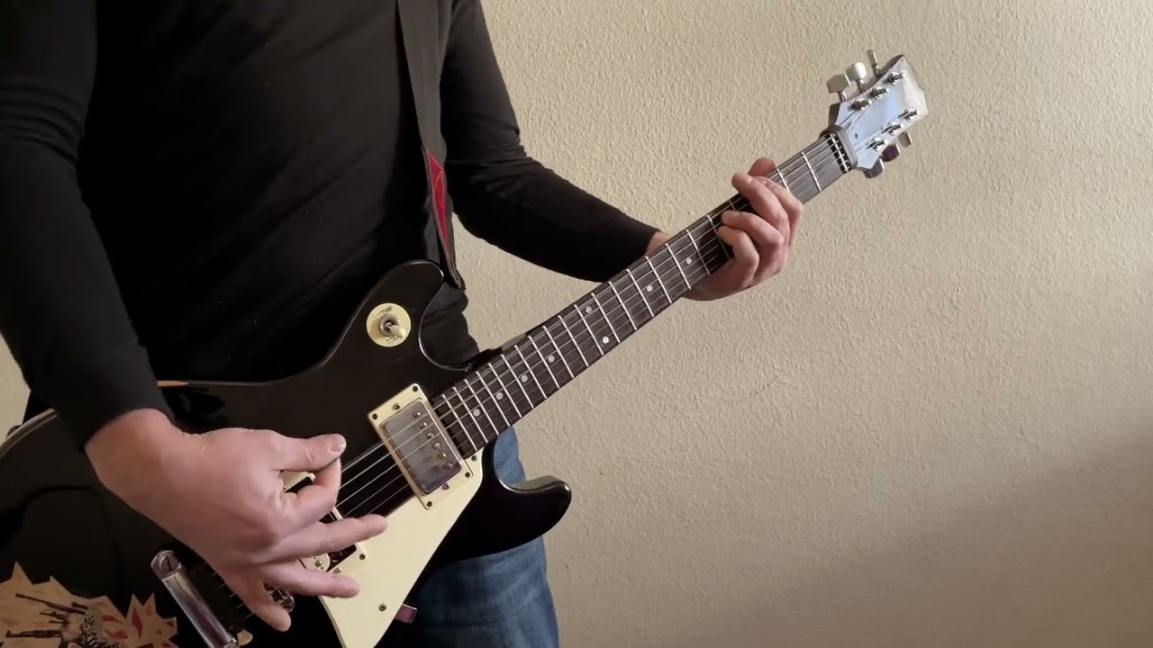 NOFX - Happy Guy (Guitar Cover)
