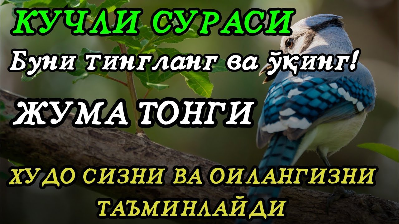Эрта тонгда ихлос билан тингланг Ризқ Эшиклари Очилади иншаоллоҳ