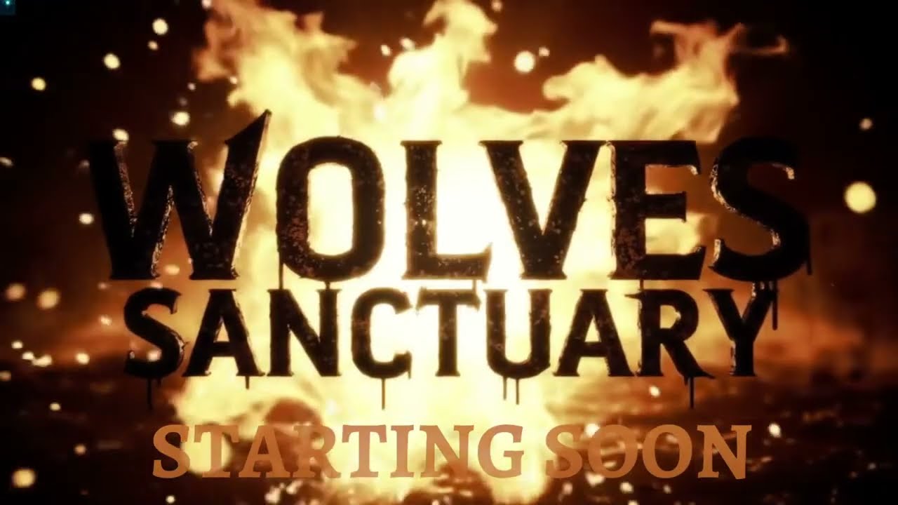 Diablo Immortal  -- Turniej,  Stream 