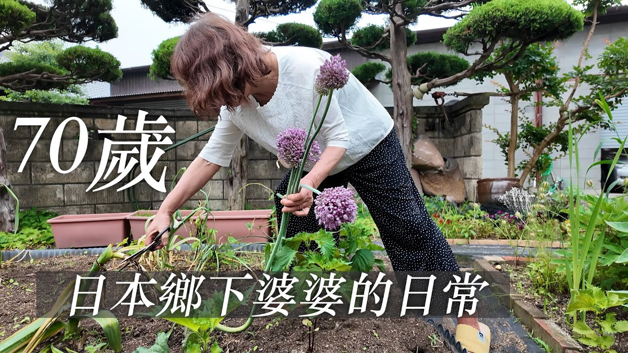 🇯🇵 70歲住在鄉下日本人婆婆的日常。
