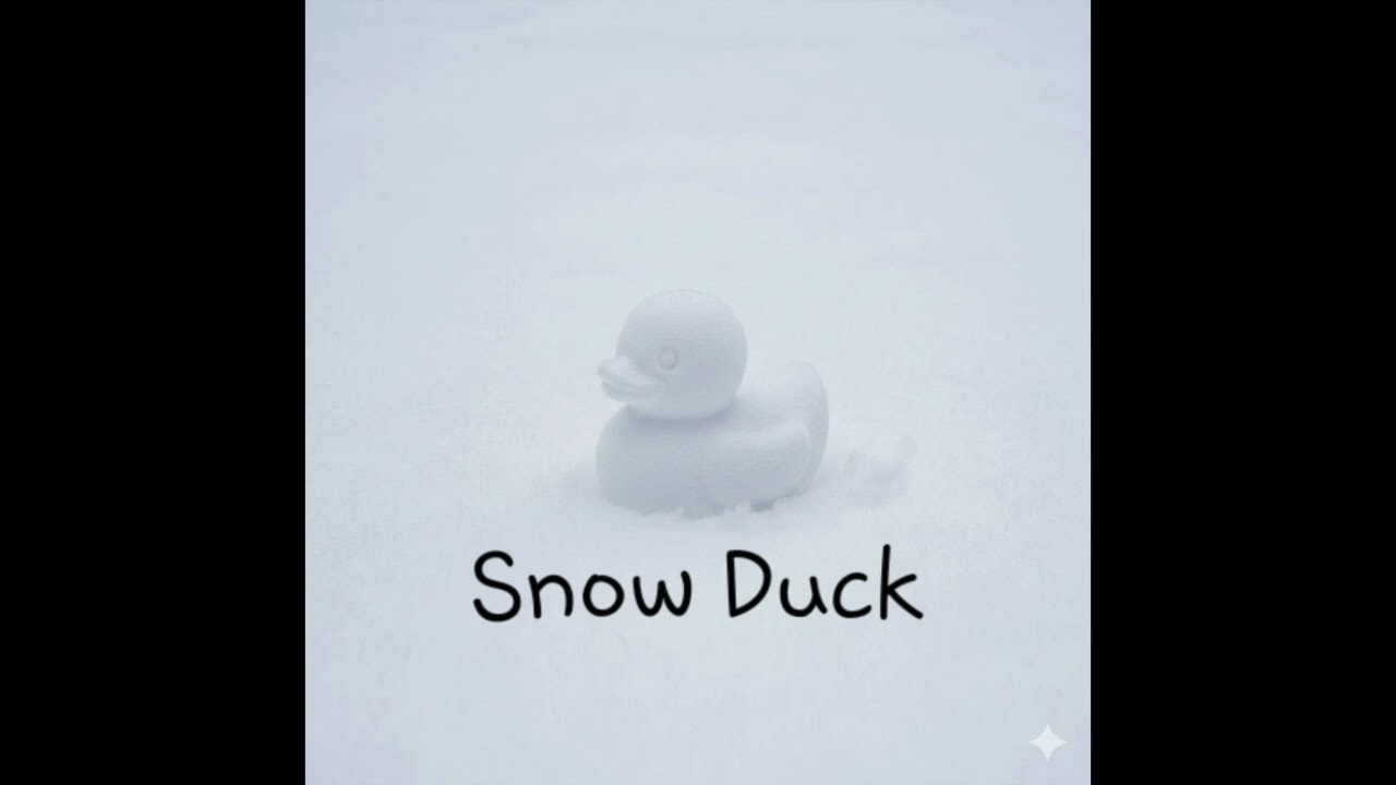 Snow Duck