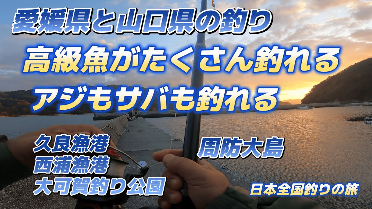 愛媛県と山口県の釣り「高級魚がたくさん釣れる、アジもサバも釣れる」久良漁港・西浦漁港・大可賀釣り公園・周防大島「キャンピングカー車中泊で日本全国釣りの旅」