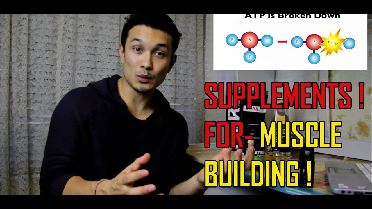 SUPPLEMENTS YOU NEED// MUSCLE BUILDING// BCAA// CREATINE [HINDI]