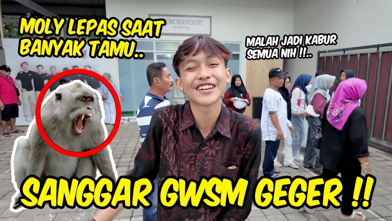Semua fans yang datang ke sanggar ketakutan !! DETIK-DETIK MOLY LEPAS SAAT LEBARAN