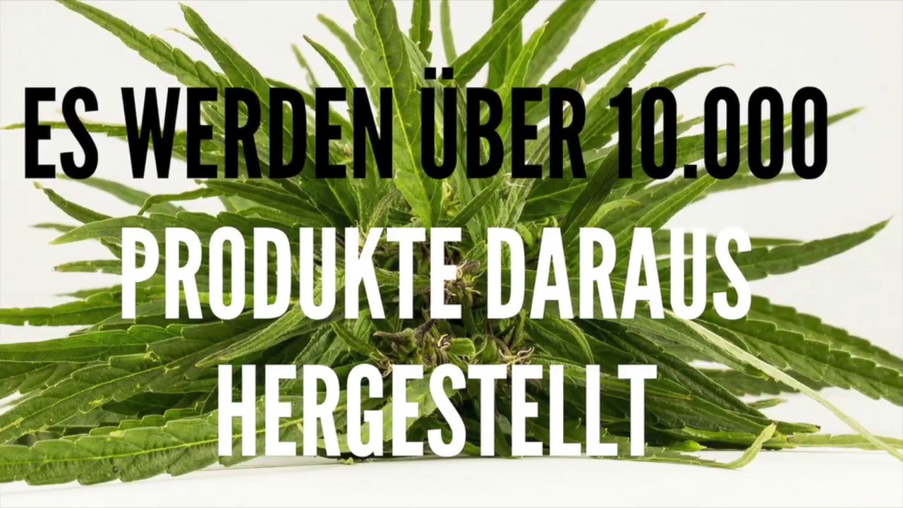 HANF IST GENIAL - Cbd Bl&uuml;ten legal - Cbd &Ouml;l - Hanftee - Hanfextrakt