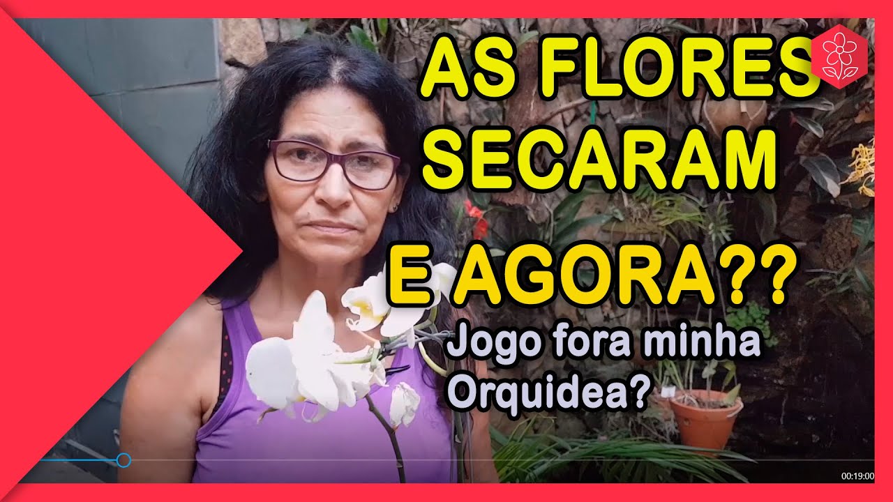 Flores da Orquídea Murchando.