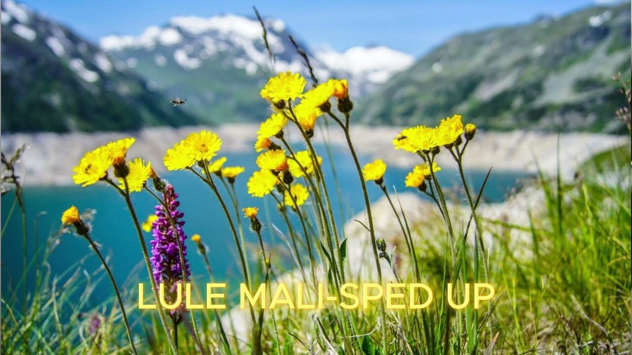 LULE MALI-SPED UP