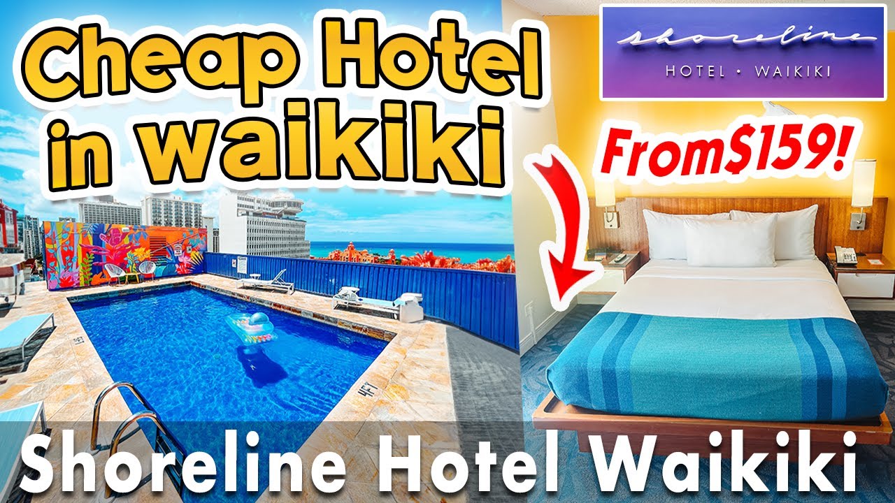 BEST CHEAP HOTEL IN WAIKIKI🌺 Shoreline Hotel Waikiki Review | Honolulu, Oahu, Hawaii