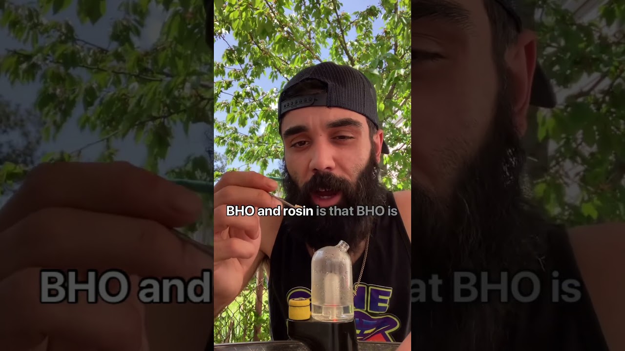 3 FUN FACTS ABOUT HASH ROSIN #weedlife