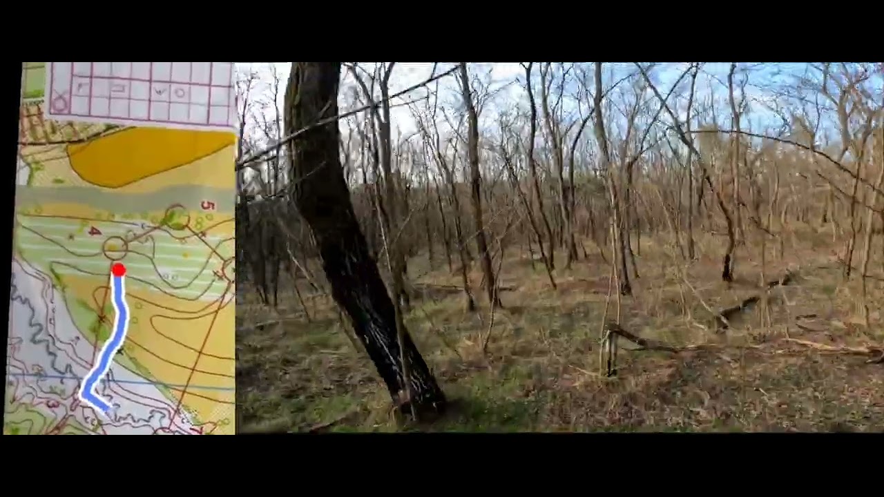 Orienteering 