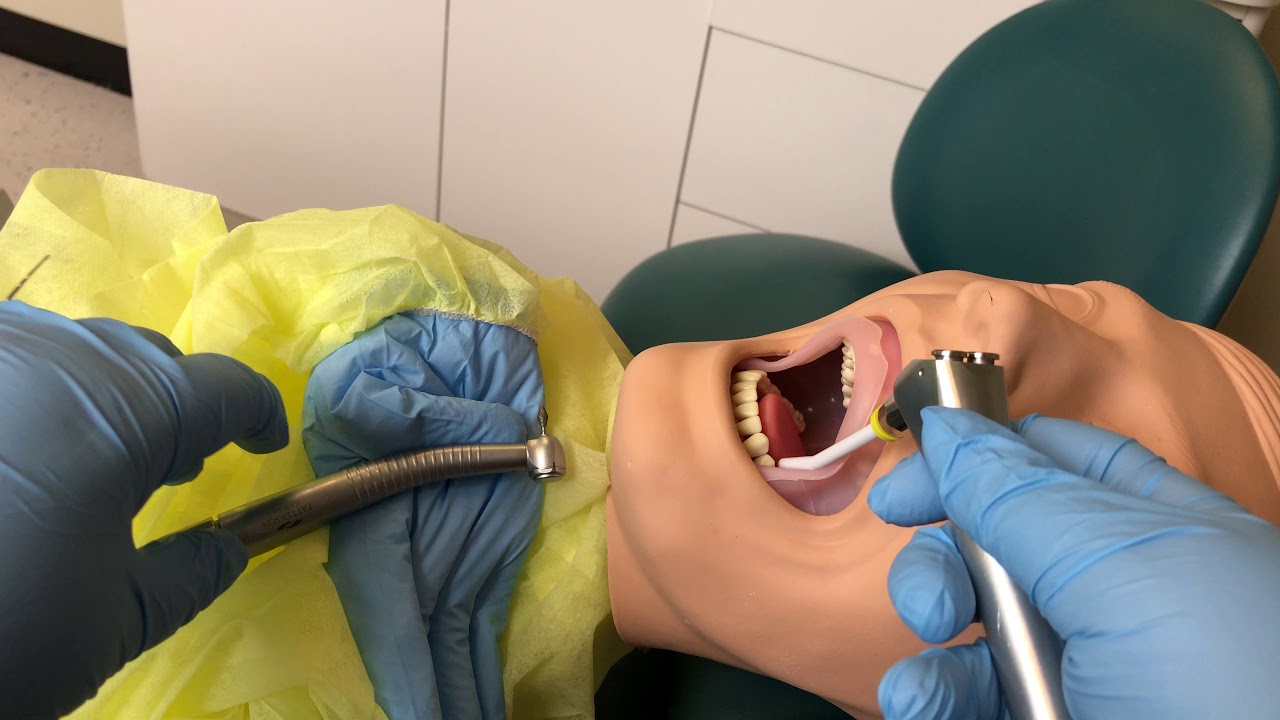Transferring Dental Instruments