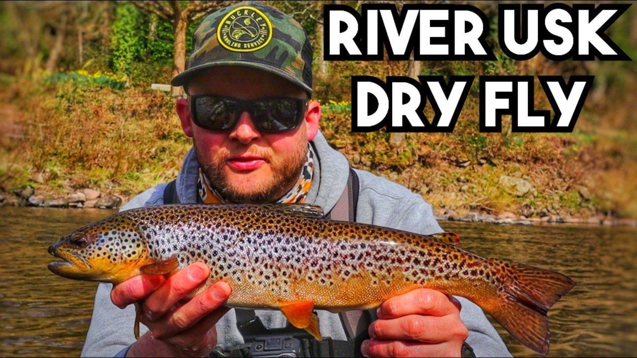 River Usk Dry Fly Fishing Early Season