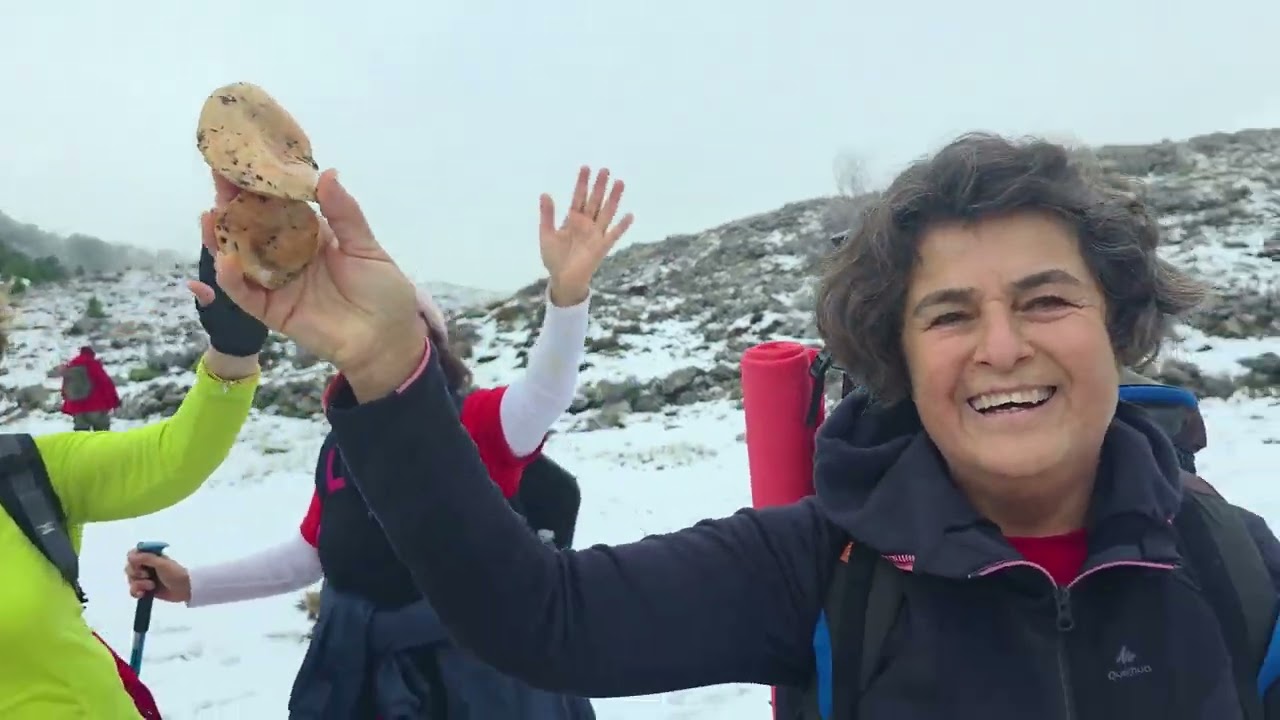 Mortırnaklar Karanfilli Yaylası Akkavaklar HD Kısa Videosu