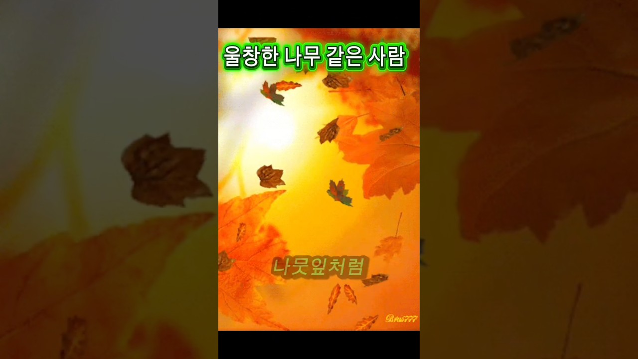 #울창한 나무같은 사람#자작시#평온의 진리지요.
