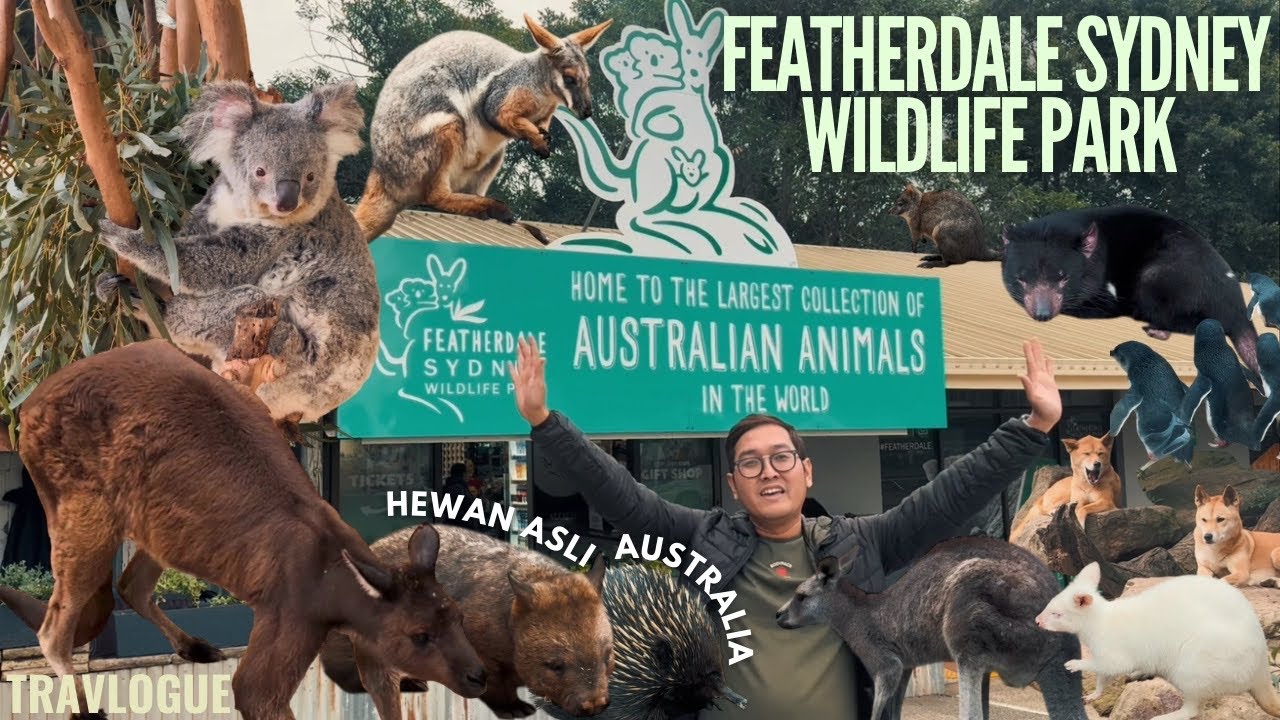 Kebun Binatang Terbaik di Sydney? Pengalaman Seru di Featherdale Sydney Wildlife Park | TRAVLOGUE