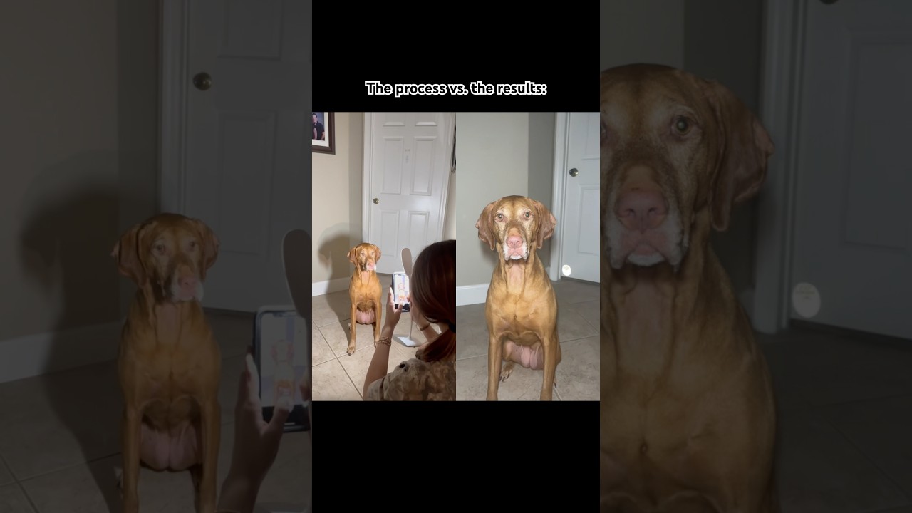 Here&rsquo;s the results! #foryou #dog #trend #viralvideo