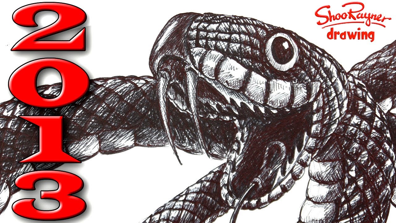 How to Draw a Snake in Ballpoint Biro Pen - Year of the Snake!
