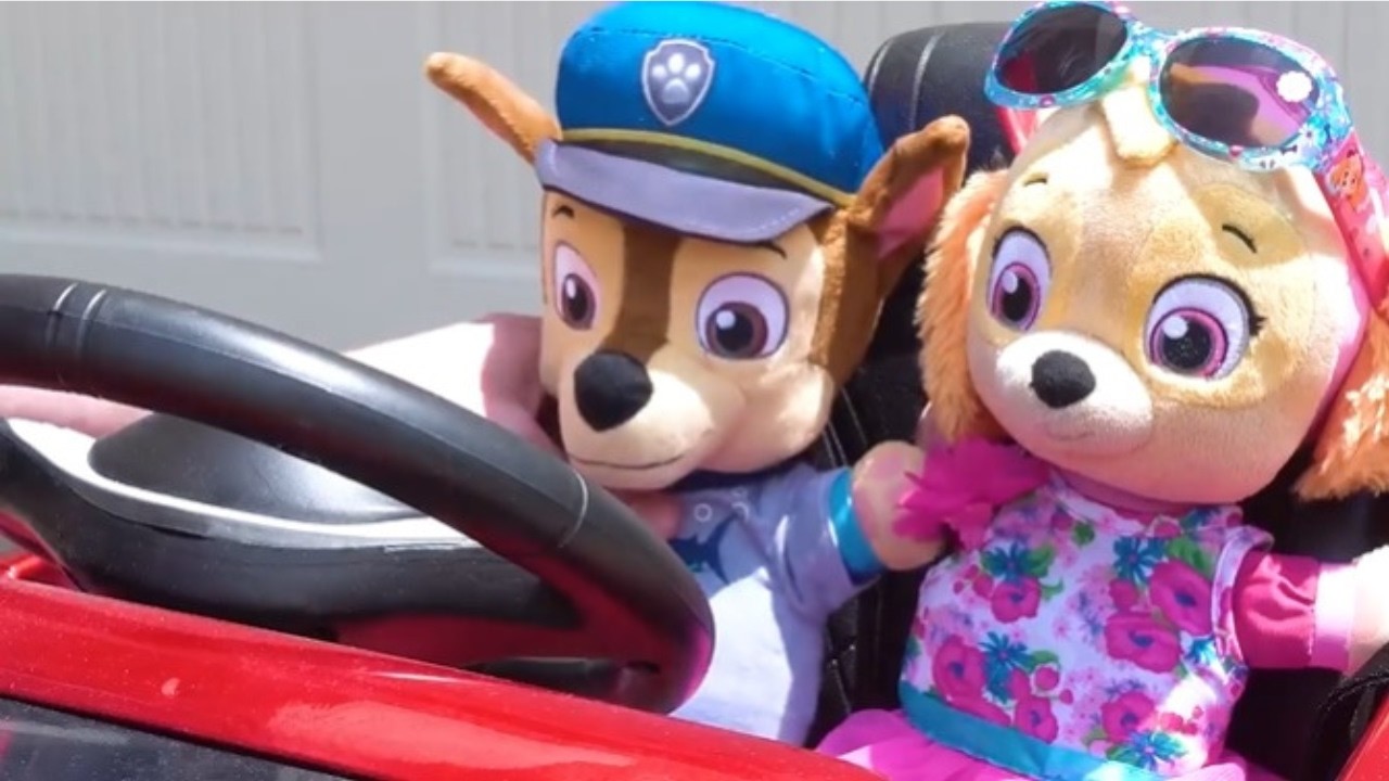 Baby Pups Videos | Paw Patrol's Skye and Chase's fun day at the Playground No Bullying at School