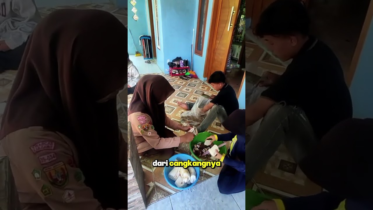 Membuat Tape Singkong Kelompok 2 Kelas XII Merdeka 4