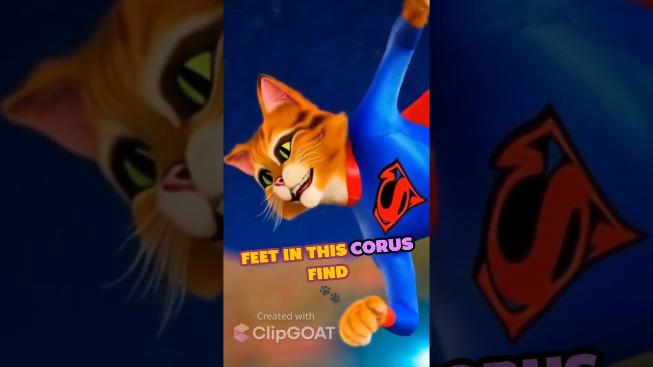 The Never Ending Melody of Cat Friendship  