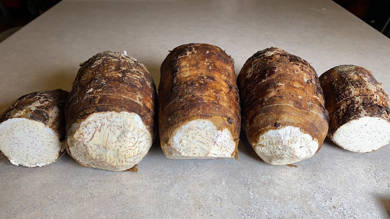 Hello to Everyone how’s everyone doing? Time to preserve taro root