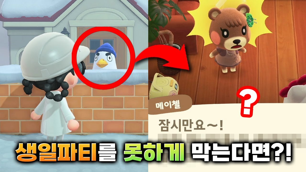 주민 집을 모두 울타리로 막아버리면 생일파티를 할 수 있을까? 🤔 모동숲 실험