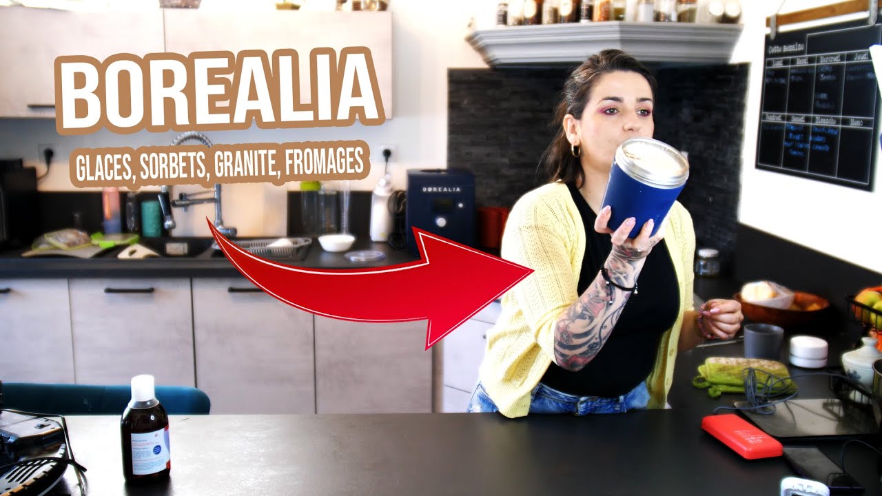 BOREALIA, faire de la glace, sorbet, fromage, granité etc .. maison !