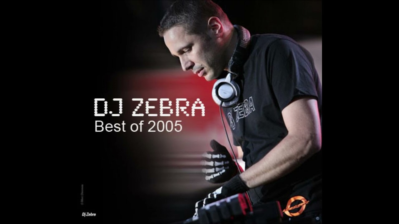 DJ Zebra - Sean Paul la mouche (Sean Paul vs. Les negresses vertes)