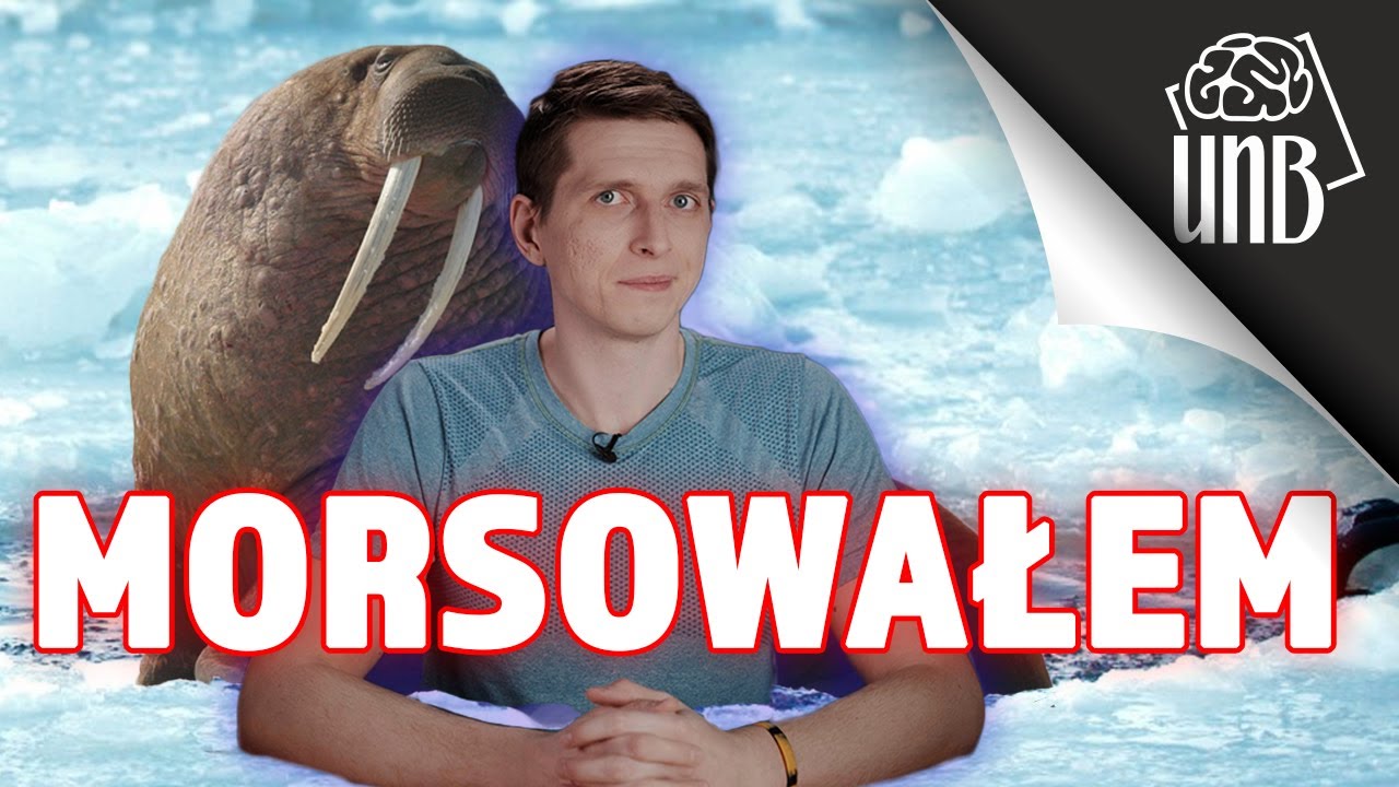 Czy morsowanie coś daje?