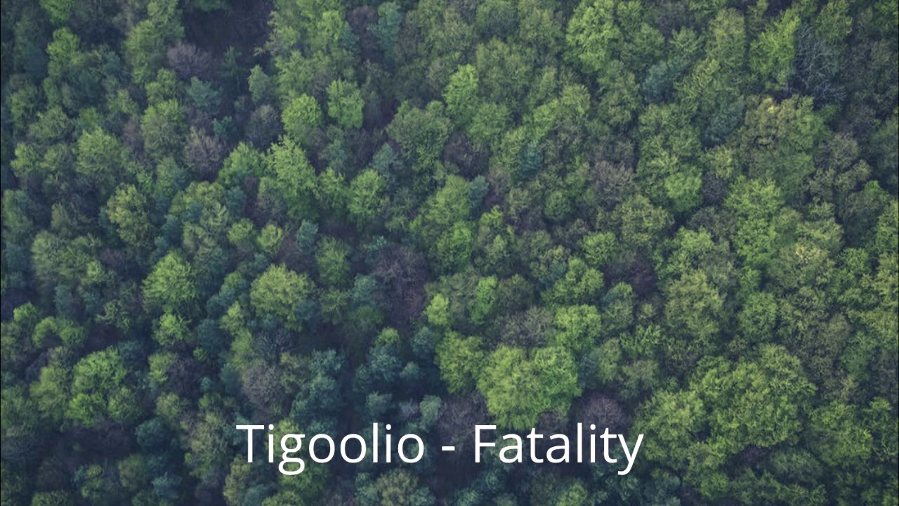 Tigoolio - Fatality