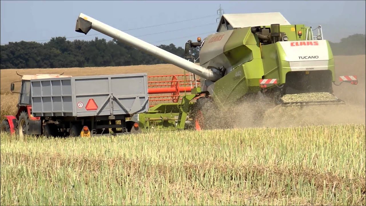 Claas Lexion 550,Claas Tucano 440 a Zetor 7245-sklizeň řepky 2013