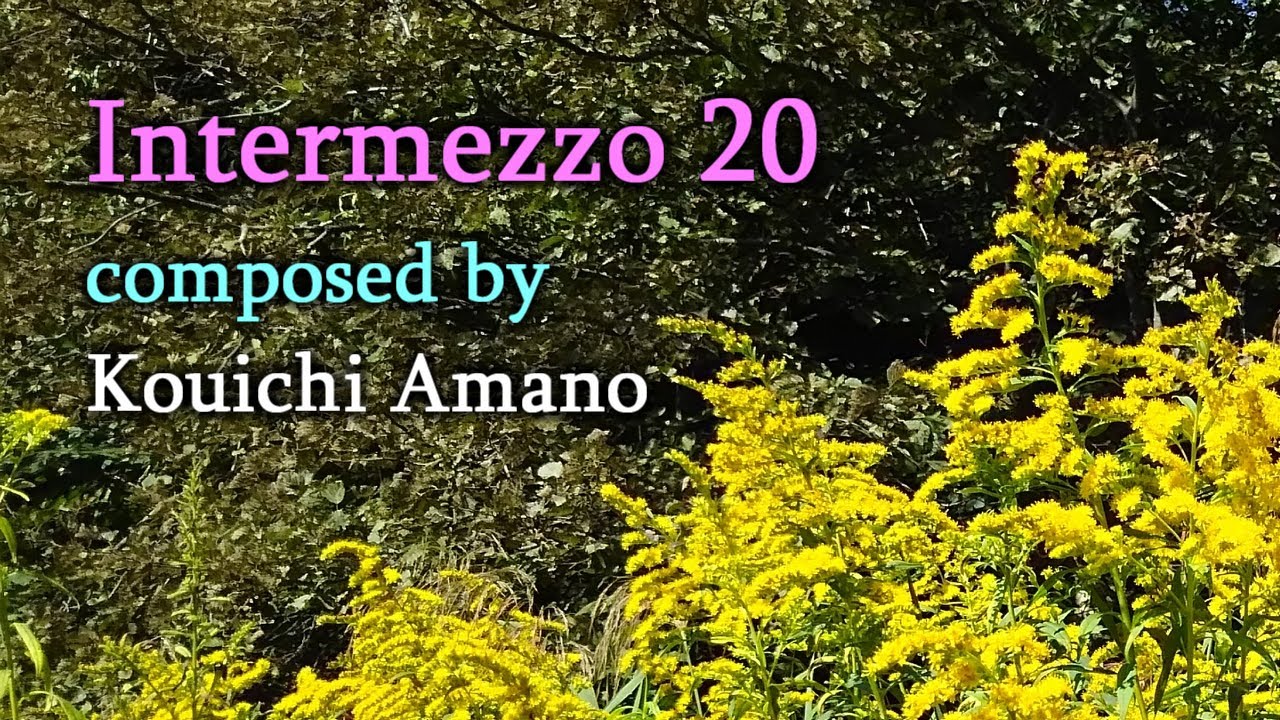 Intermezzo 20