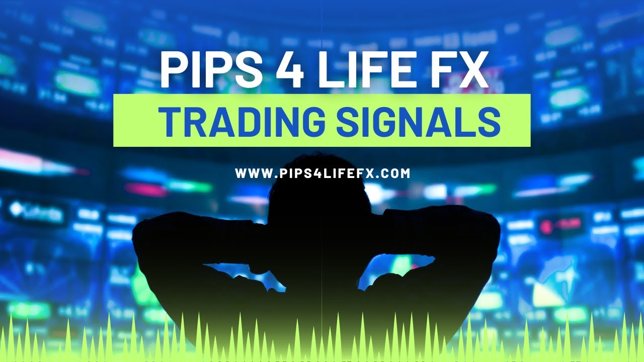 MAXIMIZING PROFIT POTENTIAL: TRADING FOREX WITH PIPS 4 LIFE FX | TEAM TIGGIO