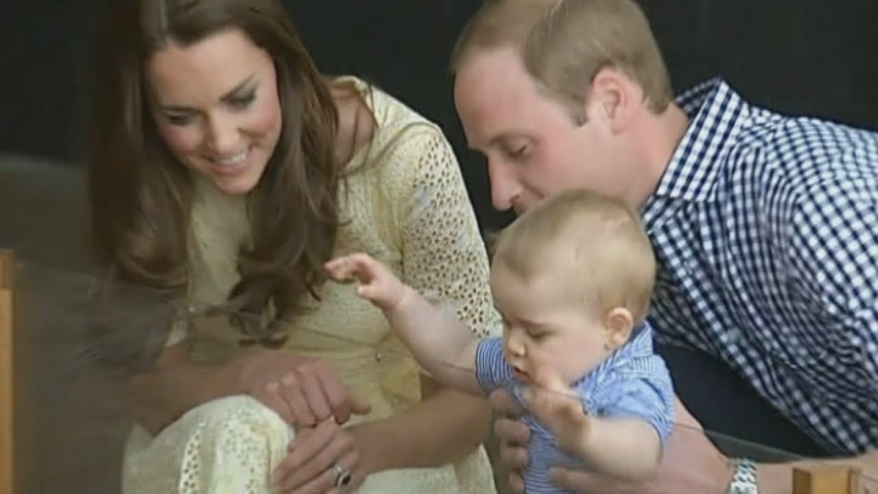 Prince George pays royal visit to the zoo
