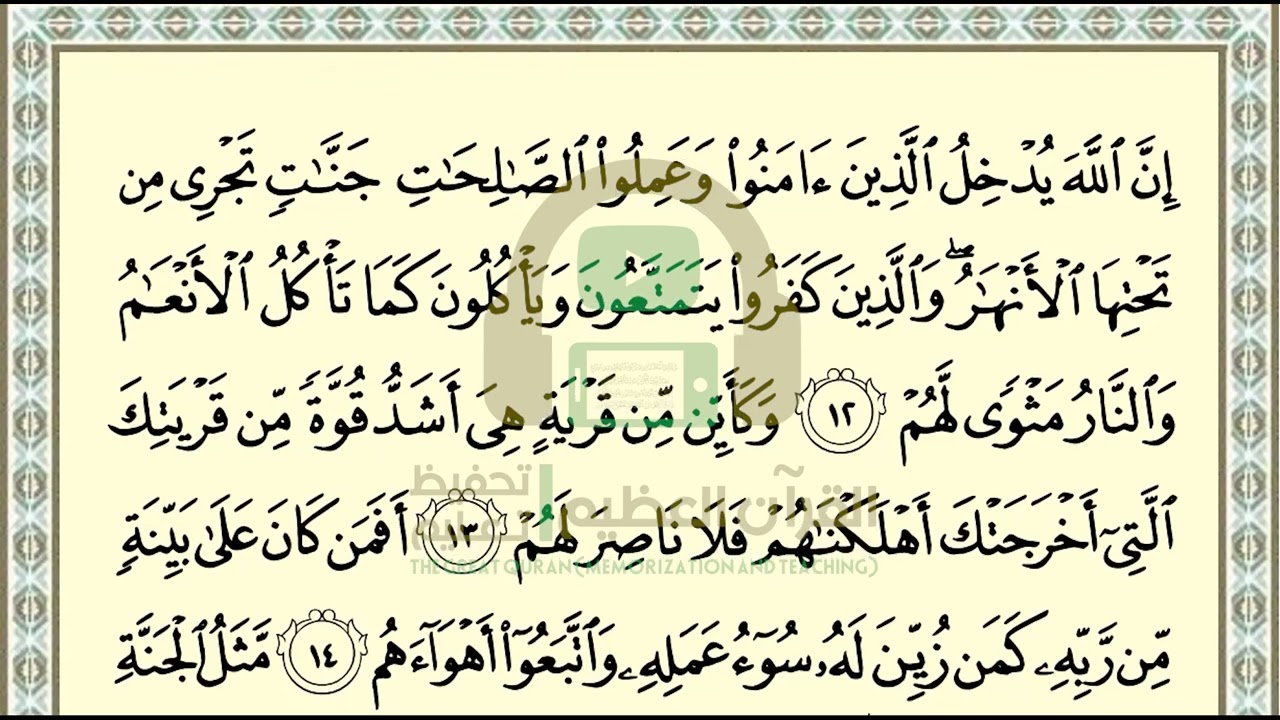 تحفيظ سورة محمد ص 508 بالتكرار والتربيط، ،Memorization of Surat Muhammad p 508, by repetition