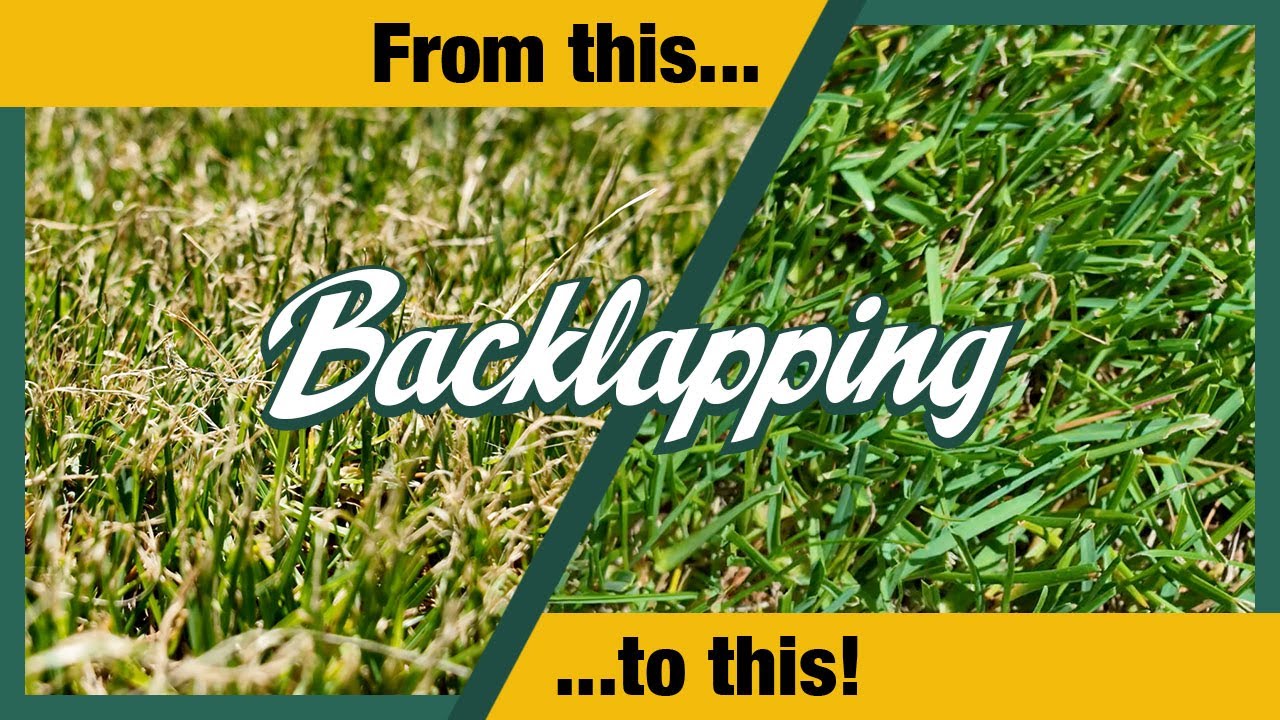 Why Backlap Your Reel Mower? Allett Stirling 51 for Clean Cuts