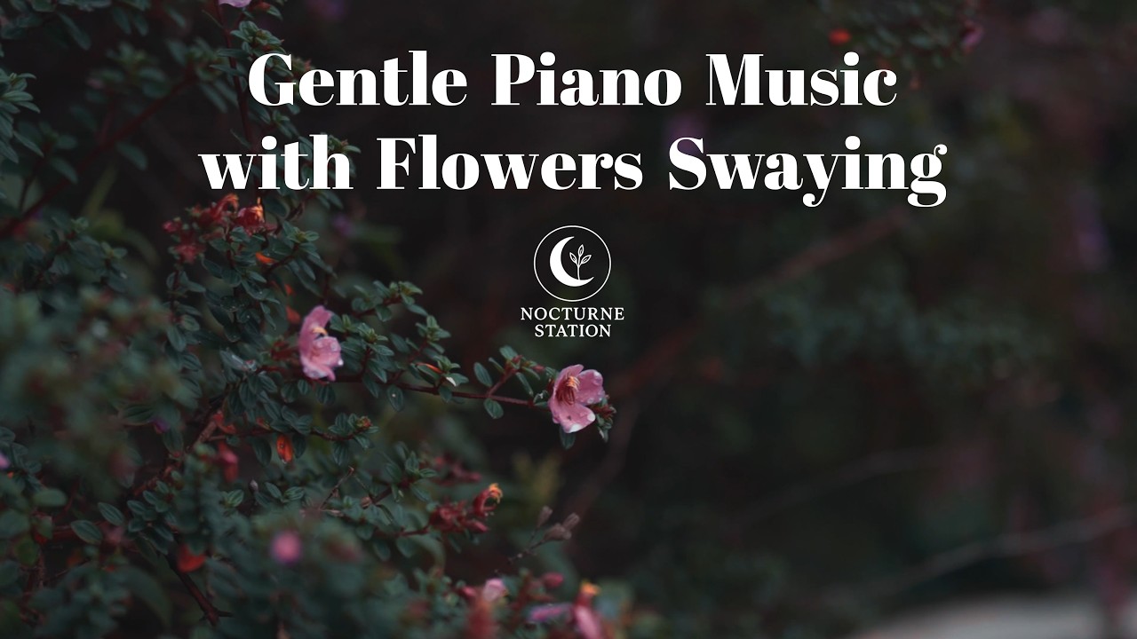 Gentle Piano with Flowers Swaying in the Wind for Deep Relaxation & Inner Peace | Nocturne Station