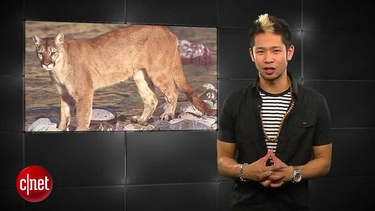 CNET's Apple Byte: Apple's iPad event gets the rumor mills working overtime