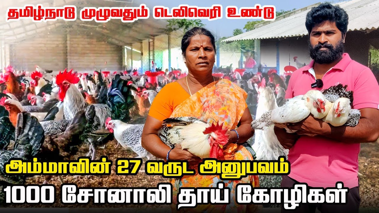 சோனாலி கோழி பண்ணை | 1000 தாய் கோழிகள் | அம்மாவின் 27 வருட அனுபவம்