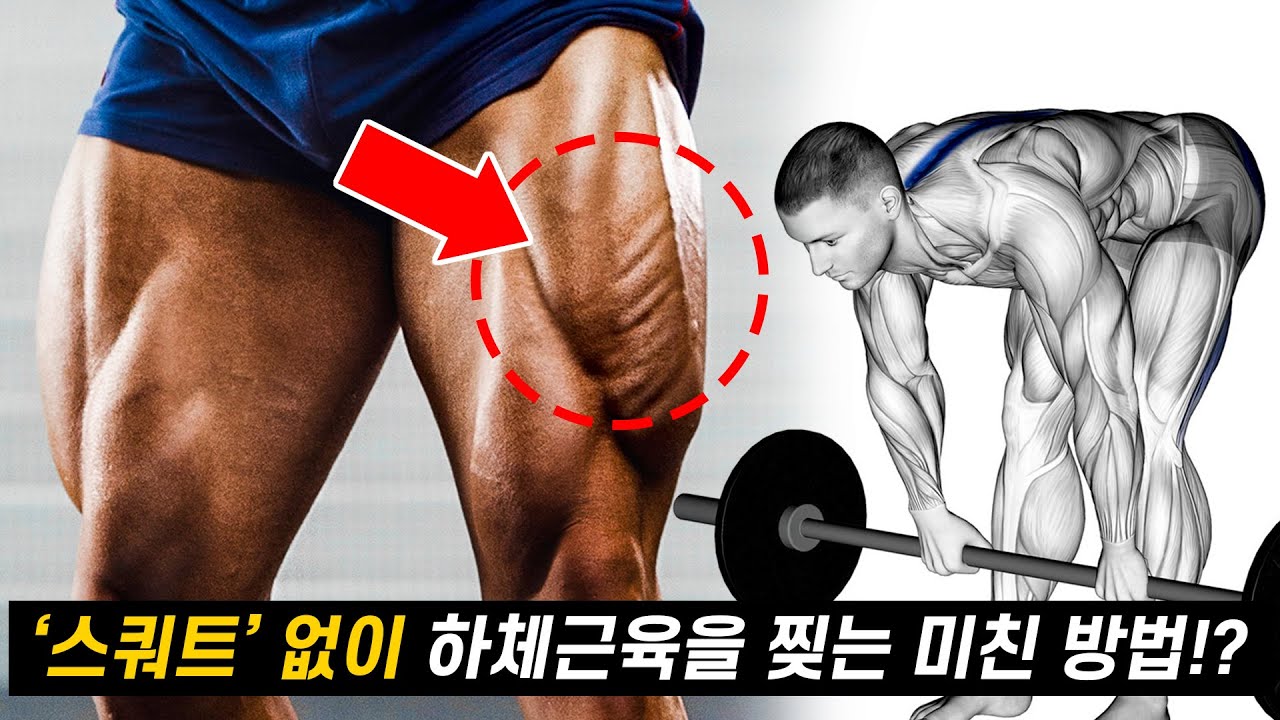 '스쿼트' 없이 하체근육 키우려면 '이 운동'을 알아야 합니다! (허벅지, 둔근, 햄스트링 운동 루틴)